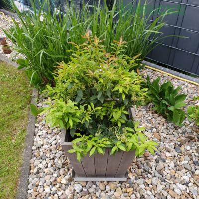 Gartenelement